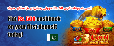میگا سلاٹ فری اسپنز promotion image